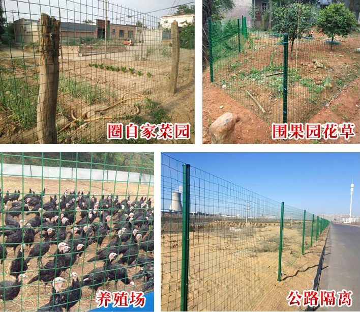 <b>問：散養野雞場綠色鐵絲網能用幾年（nián）？</b>