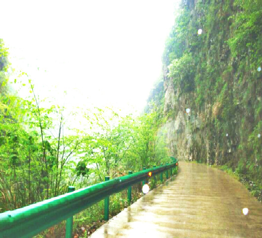 浠欐鍏礬鎶ゆ爮鏉挎嚐