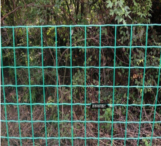 榛勫唸鍏（wéi）繪畺緗戝巶瀹舵壒