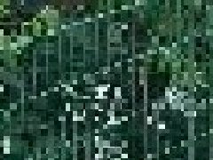 <b>武漢道路護欄​的種類有哪（nǎ）些？</b>