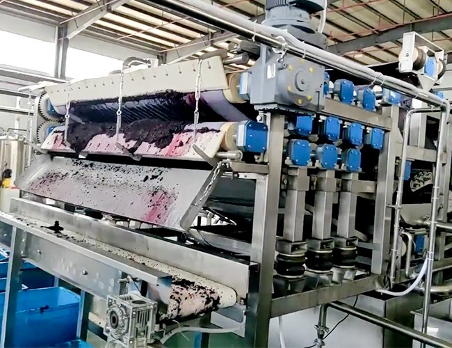 帶式壓榨機客戶桑葚榨汁（zhī）使用（yòng）現場